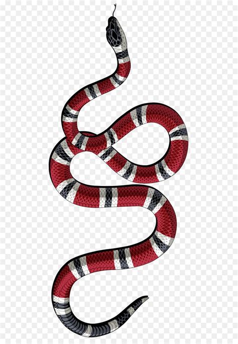 what is the meaning of gucci snake